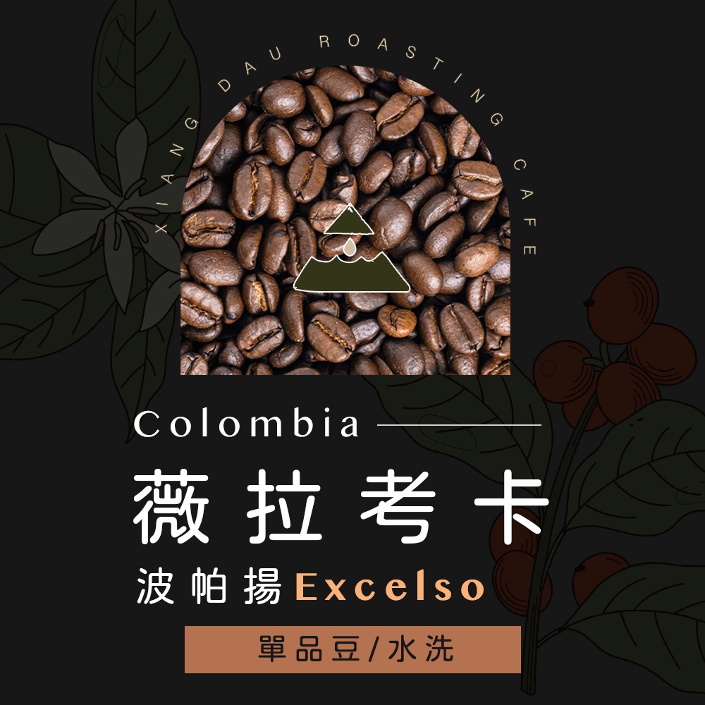 向島咖啡✧中焙 哥倫比亞 薇拉 考卡 波帕揚 Excelso 水洗✧自烘咖啡豆