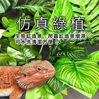 【閃電聯盟】模擬龜背芋 爬蟲造景 樹棲 爬龍 守宮造景 變色龍 模擬樹葉 蜥蜴攀爬 生態缸造景