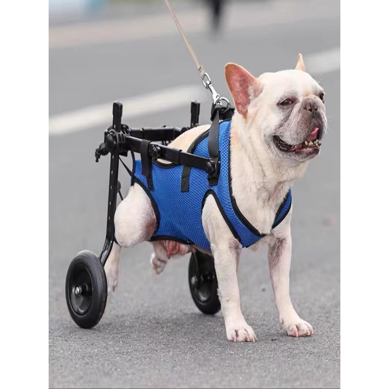 狗輪椅后肢癱瘓宠物代步車残疾狗狗后腿辅助猫泰迪大型小型犬支架XS