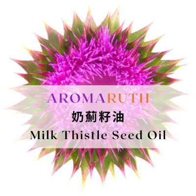 AROMARUTH(植物基底油&amp;按摩油)奶薊籽油Milk Thistle Seed Oil