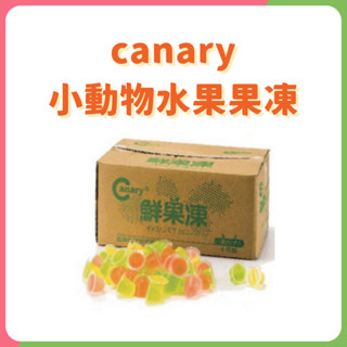 Canary 小動物水果果凍 10顆 綜合水果風味 小動物果凍 鼠果凍 甲蟲 倉鼠 蜜袋鼯 小動物 甲蟲果凍 小動物零食