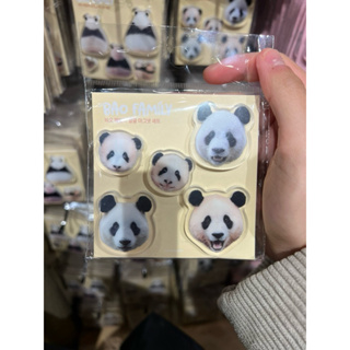 《預購》 🔺私訊報價～新品🔺🇰🇷韓國愛寶樂園 寶家族冰箱磁鐵