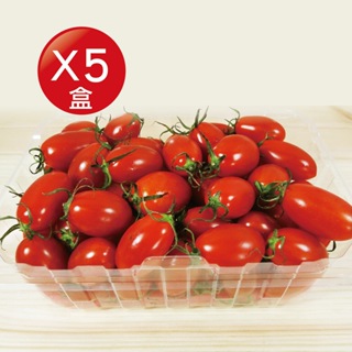 【盛花園蔬果】嘉義玉女番茄 600g x5盒(皮薄多汁_現採直送)
