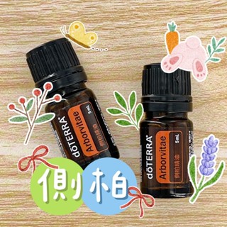 🧸小君店舖🧸正品代購 多特瑞精油 ✈️原廠公司貨🔥dōTERRA 多特瑞 側柏精油 5ml 國際版和臺灣版隨機出貨