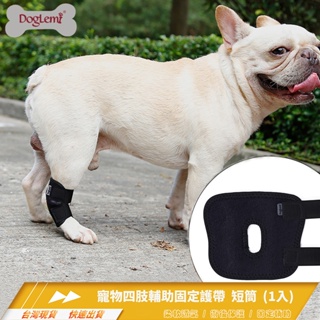 DogLemi 寵物四肢輔助固定護帶 短版/護腿/關節保護/預防受傷