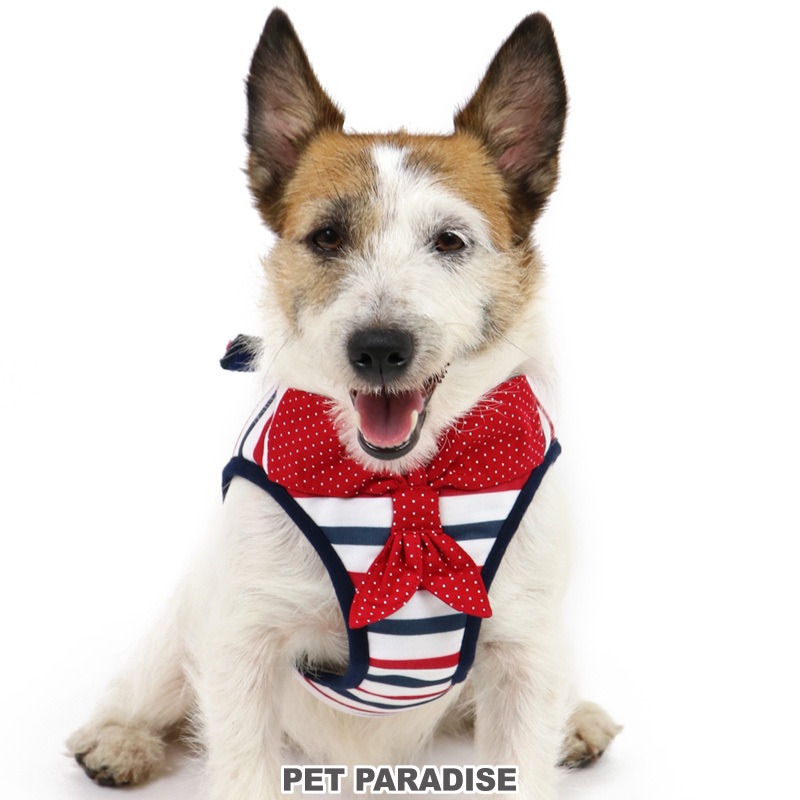 【PET PARADISE】寵物外出胸背(3S/SS/S)｜Gaspard et Lisa  2024新款 中型犬