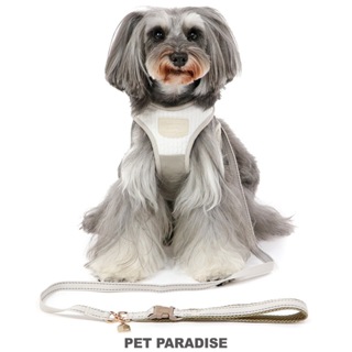 【PET PARADISE】寵物一體成形外出胸背/牽繩不可拆 (4S/3S/SS)｜PP 2023新款 寵物精品