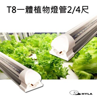 新一代LED植物燈管 T8層板燈2/4尺 全光譜 超高照度 高顯色 RA95 4000K色溫 室內種菜 養花 多肉植物
