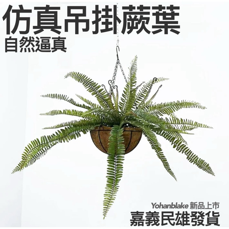 😇超商免運費😇北歐風 仿真蕨類植物 仿真植物 空中植物 吊頂 裝飾植物牆景 家居 掛飾 假花藝 壁掛 吊掛蕨葉 吊頂植物