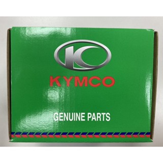 【美機油】KYMCO 光陽 YT9B-BS 9號 9B 薄型 電瓶 電池 金勇 KTR 噴射 馬車250