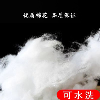 🔥🔥新款🔥🔥抱枕沙發棉服靠背枕芯填充物棉花蓬鬆棉棉絲綿保暖回彈雲朵羽絨棉HOFVX