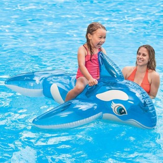 原廠INTEX 58523 可愛小鯨魚充氣坐騎 夏天玩水 游泳 玩水 戲水可愛動物坐騎 溫泉可用(免費檢修 瑕疵換新品)