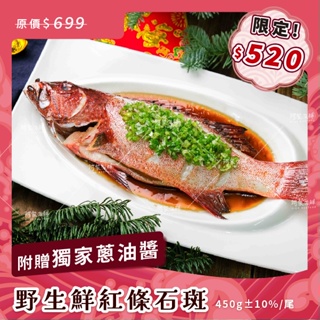 【阿家海鮮】"母親節獨家$520限定"野生鮮嫩紅條(虎條)石斑 550g±10%/尾(三去)(贈油蔥醬包)