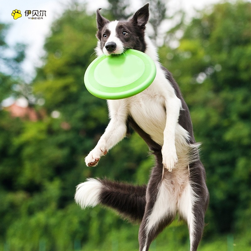 【台灣現貨】寵物飛盤 飛盤 寵物 軟式飛盤 狗飛盤 安全飛盤 飛盤玩具 矽膠飛盤