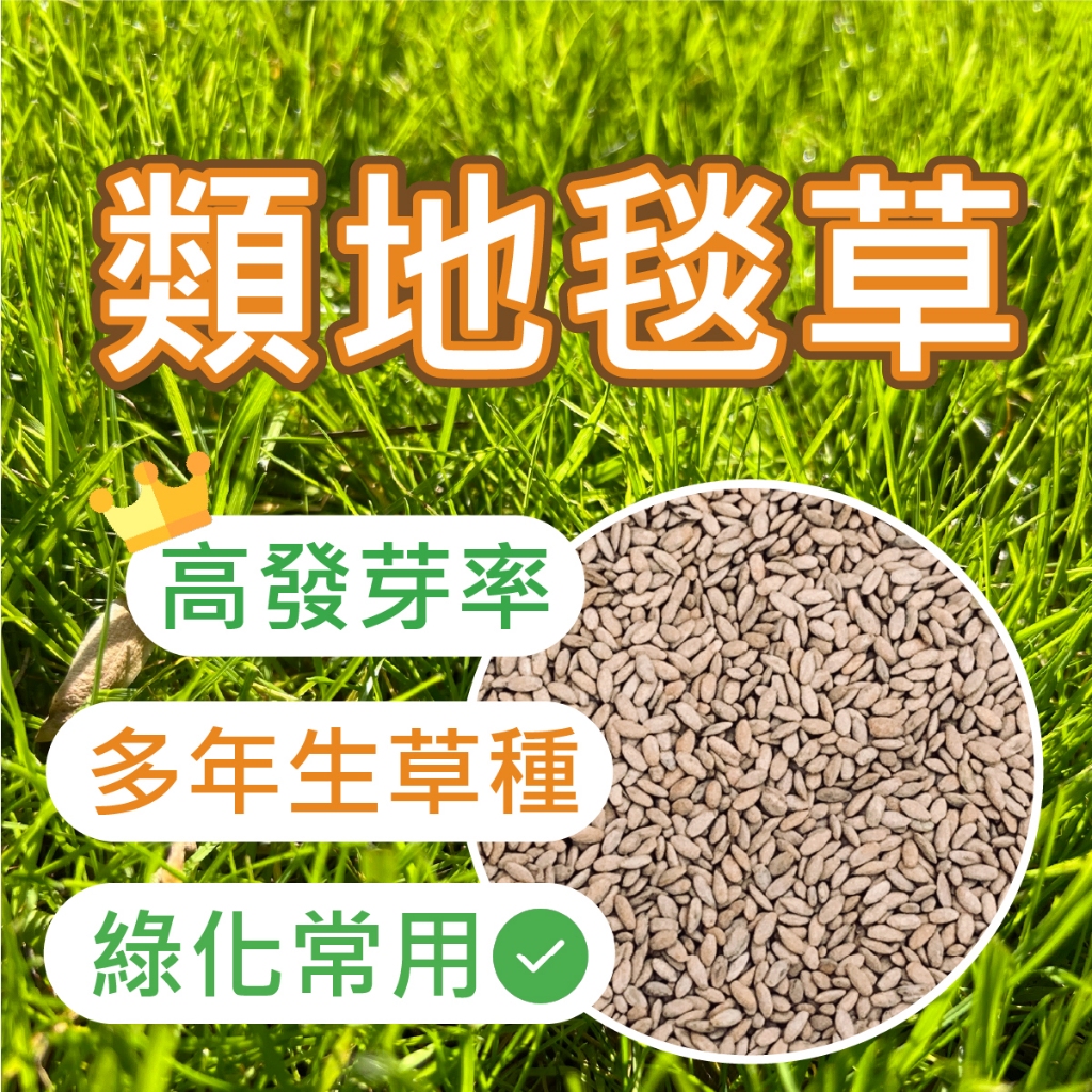 【熱賣特價🔥】類地毯草種子 現貨（500公克/一公斤）類地毯草 類地毯草皮 草皮 草坪 草籽 種子 草坪種子
