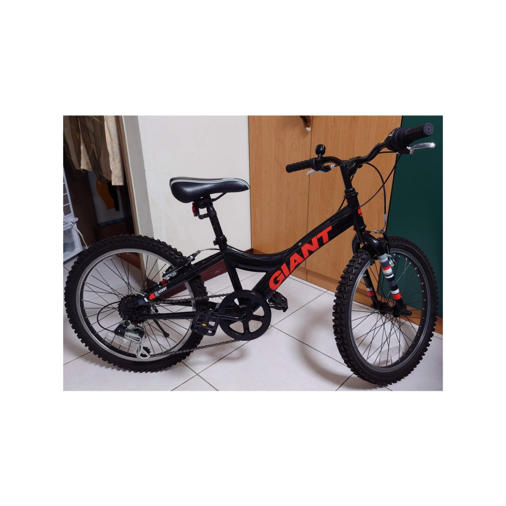 GIANT 捷安特 YJ251 20吋兒童腳踏車 (九成新)