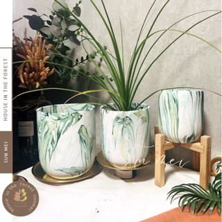森美植所/水泥盆/龜背芋畫風水泥盆/觀葉植物/龜背芋/觀葉/雨林/盆器/花盆/花器/植栽/居家植物/辦公室植栽/園藝