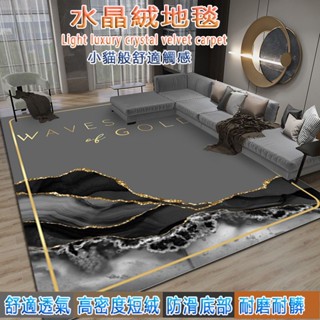 地毯 地墊 北歐地毯 水晶絨地毯 耐臟地墊 防滑地毯 客廳毯 輕奢風 房間地墊 高檔沙發墊 茶幾墊 大面積全鋪家用地毯