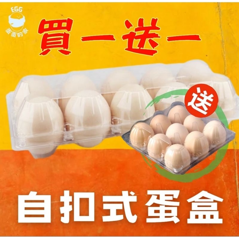 🔥宅配免運 現貨速出🔥台灣自扣式蛋盒 買10格→贈送9格 雞蛋盒  塑膠蛋盒 雞蛋收納盒 一次性雞蛋包裝盒