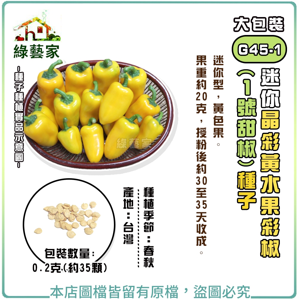 【綠藝家】大包裝G45-1.迷你晶彩黃水果彩椒(1號甜椒)種子0.2克(約35顆) // 迷你型，黃色果