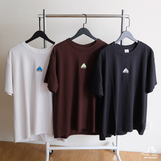 【奶大大球鞋代購社團】Nike ACG 重磅 刺繡 Logo 短Tee T恤 潮流 短T DQ1816-227 122