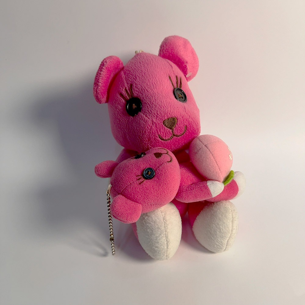 二手 MOMO熊 粉色 娃娃 玩偶 布偶 泰迪熊 粉紅色 合售 吊飾 6吋