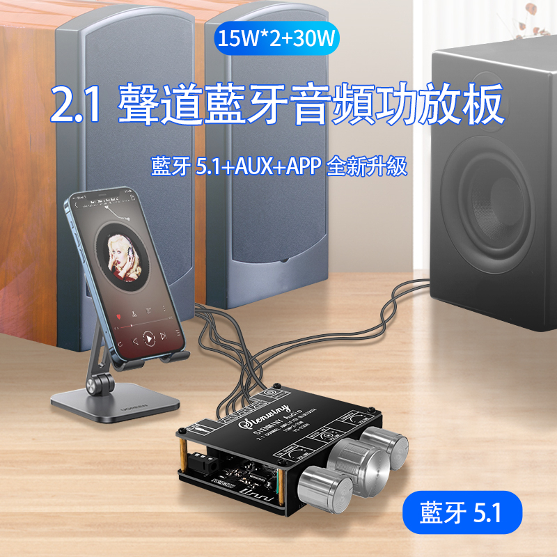 【焊锐科技】台灣現貨 YS-E30H  藍牙5.1功放板 超低音揚聲器 低音炮 音頻功放模塊 DC9-24V 擴大機