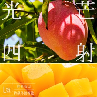 【玩果農場】屏東枋山·L特級外銷等級｜愛文芒果禮盒 3kg(7-8粒)/盒