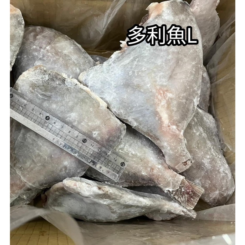 【佳魚水產】三去 多利魚(魴魚)-(L:300g~400g/片)6kg/箱  一箱約16片~20片