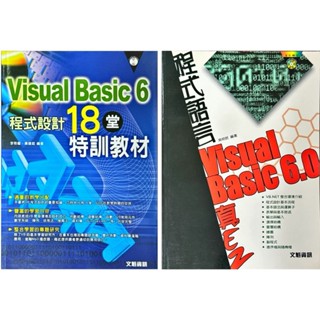 Visual Basic 6 書籍 程式設計18堂特訓教材 程式語言真EZ