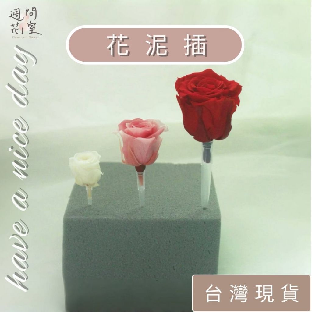 週間花室｜現貨 花泥插 花泥插固定器  乾燥花 花插 鮮花插 永生花固定插 永生花材料