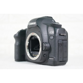 Canon 佳能 EOS 5D Mark II 5D2 數位單眼相機 快門數29884