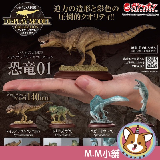 【M.M小舖】『現貨』 BANDAI 轉蛋 扭蛋 生物大圖鑑展示模型 恐龍P1 暴龍 三角龍 模型 圖鑑 全4款