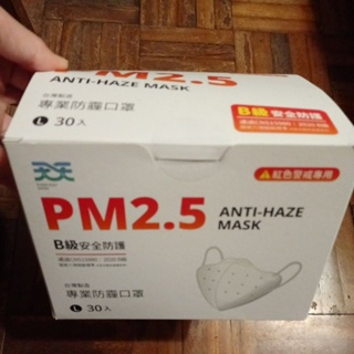 天天 PM 2.5 專業防霾口罩 台灣製造