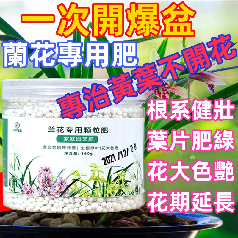 【一次開爆盆】 ❤️台灣/發貨❤️蘭花專用肥 緩釋肥 控釋顆粒肥 防黃葉 壯根 君子蘭 蝴蝶蘭專用複合肥 花期延長