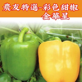 彩色甜椒種子【農友種苗】農友種苗 彩色甜椒-金華星(特選種子) 蔬菜種子 每包約10粒 新鮮種子