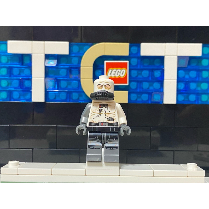 【TCT】樂高 LEGO STAR WARS 星戰系列 星際大戰 人偶 75251 SW0981