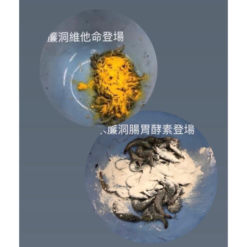 綜合維他命、高單位綜合維他命、天然體內粉、水穏、硝化菌 、腸胃酵素