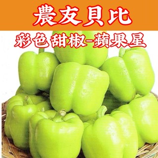 彩色甜椒【農友種苗】農友種苗 彩色甜椒-蘋果星(特選種子) 蔬菜種子 每包約10粒 保證新鮮種子