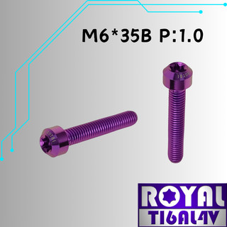 【瘋螺絲】ROYAL 鈦合金螺絲★ M6*35B P:1.0 錐形螺絲★ 64鈦/正鈦/鈦合金螺絲★出貨附發票★皇家紫