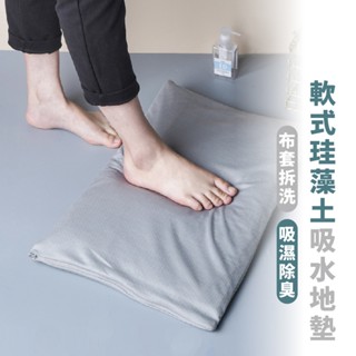 嘉義出貨 {臺灣收納王} 矽藻土 軟地墊 軟式地墊 浴室吸水地墊 矽澡粉地墊 可拆地墊 腳踏地墊 吸濕除臭