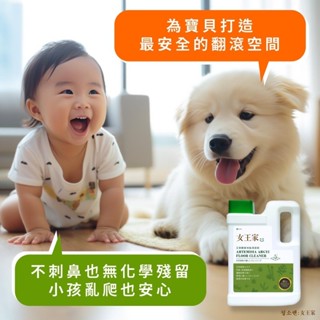 現貨 청소켄 女王家 🍃艾草酵素地板清潔劑2000ml