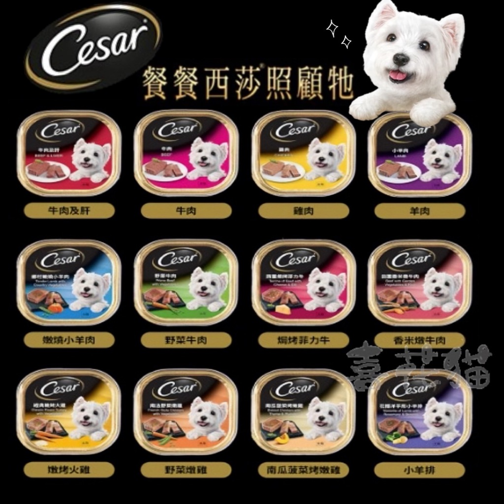 小禮物✨【喜花貓】西莎 精緻風味餐盒  一箱24入 (100g/入) 多口味 寵物 狗罐頭/濕糧 自然素材系列