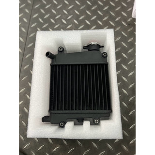 益新電能│B8R 六代戰 黑化 加大水箱 加厚 降溫 BWS 水冷 Force2.0 Augur