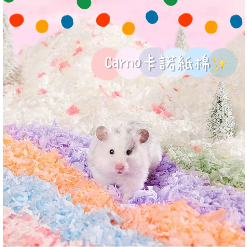 DobeGo｜🐹🌷Carno卡諾紙棉10L✨