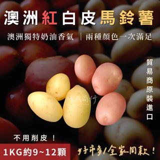 【靖成商行】澳洲紅白皮馬鈴薯🥔 | 1公斤±5% | 澳洲馬鈴薯 全家烤馬鈴薯 好市多 白玉馬鈴薯