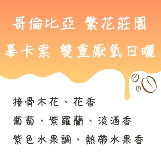 哥倫比亞 繁花莊園 畢卡索 雙重厭氧日曬 咖啡豆【豆箱咖啡】