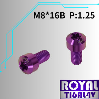 【瘋螺絲】ROYAL 鈦合金螺絲★ M8*16B P:1.25 錐形螺絲★64鈦/鈦合金螺絲★ 出貨附發票 ★皇家紫