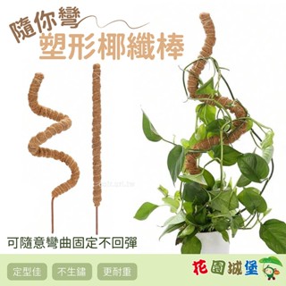 現貨 隨你彎塑形椰纖棒 加粗7mm鋁線 可彎曲 爬藤柱 攀爬棒 取代蛇木柱 椰纖棒 植物攀爬 爬藤 觀葉 蔓綠絨 支撐架