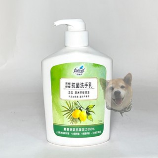 【滿額免運】花仙子 茶樹檸檬抗菌洗手乳 300g